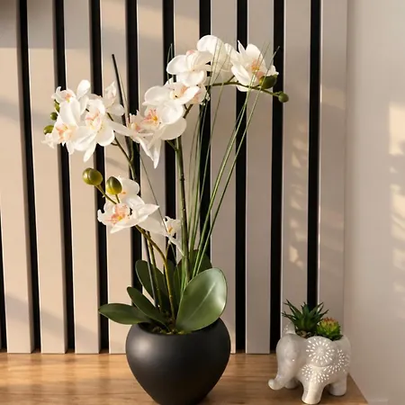 Golden Haven Appartement Podgorica